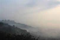 Yoğun Sis Kocaeli'yi Etkisi Altına Aldı