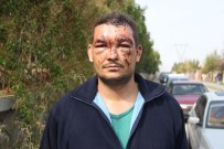 HAYVAN SEVERLER - Ata Çarpan Bu Araçtan Sağ Çıktı