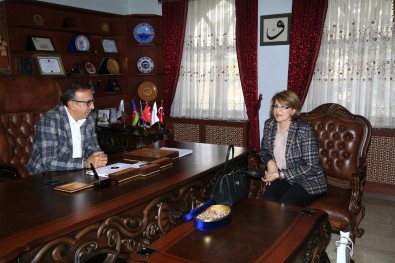 Azerbaycan Büyükelçiliği Eğitim Müşaviri Nesibova, Seçen'i Ziyaret Etti