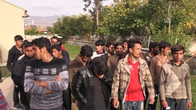 Erzincan'da 98 Düzensiz Göçmen Yakalandı
