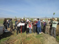 KARADIREK - Özel Eğitim Gören Öğrenciler Fidan Dikti