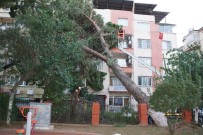 AYDıN DEVLET HASTANESI - Aydın'da Fırtına Hayatı Olumsuz Etkiledi