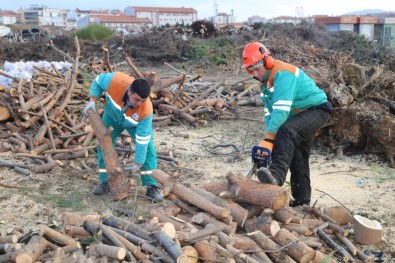 Burhaniye'de İhtiyaç Sahiplerine Odun Dağıtımına Başlandı