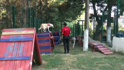 Jandarmanın Bombalara Karşı 'Erken' Güvencesi