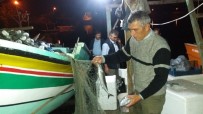 BOLAMAN - Küçük Balıkçıların Yüzü Palamutla Güldü