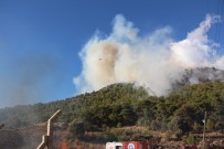 ORMAN YANGINI - Kumluca'da Eş Zamanlı Çıkan Orman Yangınları Korkuttu