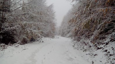 Sakarya'nın Yüksek Kesimlerine Kar Yağışı Başladı