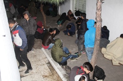 Ayvalık'ta 102 Kaçak Göçmen Yakalandı