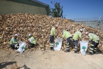 ŞEHITKAMIL BELEDIYESI - Budanan Ağaçlar Yakacak Oldu