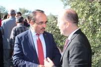 BÜLENT UYGUR - 2. Altınözü Zeytin Ve Zeytinyağı Festivali Renkli Başladı