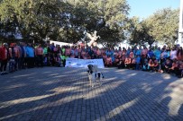 BALıKESIR ÜNIVERSITESI - Adramytteion'dan Troas'a Pedal Çevirecekler