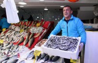 BALIKÇI ESNAFI - Balıkçıların Gözü Palamuttan Sonra Hamside