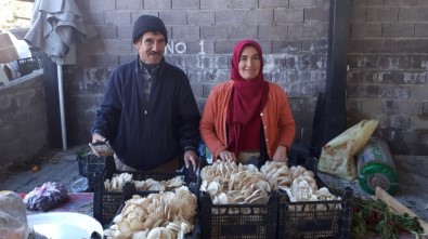 Devletten Destek Aldılar, Kendi İşlerini Kurdular