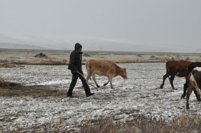 (ÖZEL) Kars'ta Kar Ve Tipiye Yakalanan Çobanlar Zor Anlar Yaşadı