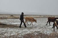 YAĞMURLU - (ÖZEL) Kars'ta Kar Ve Tipiye Yakalanan Çobanlar Zor Anlar Yaşadı
