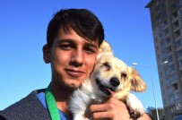 İLETİŞİM FAKÜLTESİ - (ÖZEL) Yalnızlığını Gidermek İçin Sahiplendiği Görme Engelli Köpek, Tek Dostu Oldu