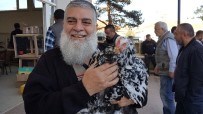 MEHMET ER - En Güzel Tavuklar Alıcılarını Bulmak İçin Sergilendi
