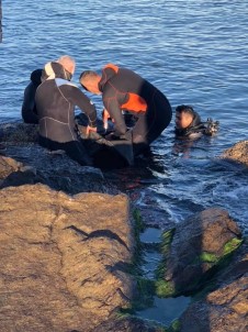 Giresun'da Denize Düşen Gencin Cesedine Ulaşıldı