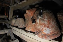 Mağarada Üretilen Peynir Yıllık 3.5 Milyon Lira Gelir Sağlıyor Haberi