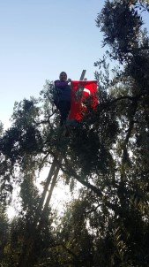 Ağaç Tepesinde Cumhuriyet Kutlaması