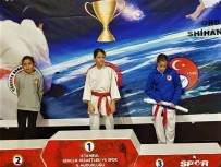 AHMET AYDIN - Bursalı Karatecilerden Büyük Başarı