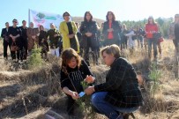 MEDENİYETLER - MHP Kadın Kolları Fidanları Toprakla Buluşturdu