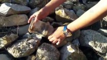 YAVRU KÖPEK - Plastik Kapta Başı Sıkışan Köpeği Vatandaşlar Kurtardı