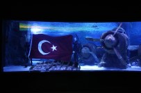 KÖPEK BALIĞI - Vatozlar Arasında Türk Bayrağı Açtılar