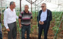 HALUK ŞIMŞEK - Antalya'da Solucan Gübresi İle Tarım Uygulaması Yapıldı