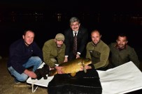 PELITÖZÜ - Bilecik'te 16 Kiloluk Dev Sazan Yakalandı