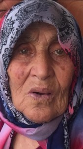 Isparta'da Öküz Dehşeti