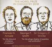NOBEL - Nobel Kimya Ödülü 3 İsme Gitti
