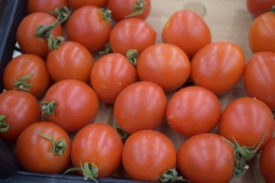 Türkiye'de 7, Rusya'da 16 Lira