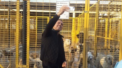 Haluk Levent, Nilüfer'deki Hayvan Bakım Merkezi'ne Hayran Kaldı