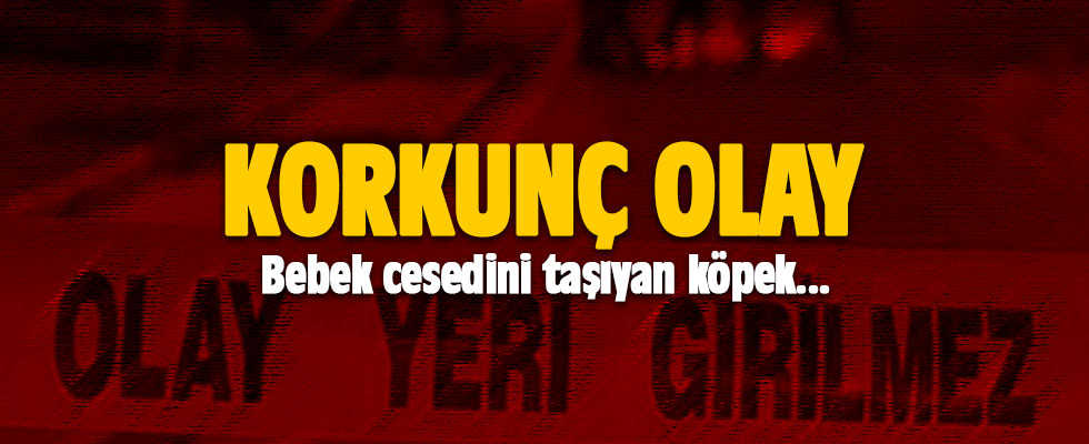 Korkunç olay: Köpek, bebek cesedini kafenin önüne bıraktı!