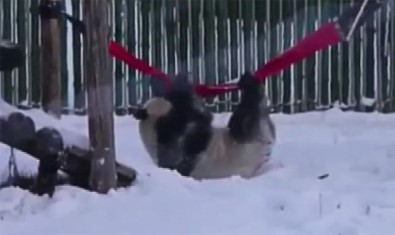 Pandalardan Kar Keyfi
