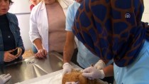ÖZEL AMBULANS - Sokak Hayvanlarına Özel Klinik Ve Ambulans