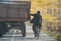 Bisikletli Yaşlı Adamın Tehlikeli Yolculuğu