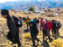 AKOLUK - Dağcılık Kulübü Cumhuriyet'in 95. Yılını Zirvede Kutladı