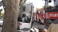 SERVİS ŞOFÖRÜ - Servis Minibüsü Araca Ve Ağaca Çarptı Açıklaması Yaralılar Var