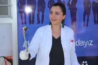 KIMYA - Teorik Eğitimler Pratiğe Dönüştürülüyor