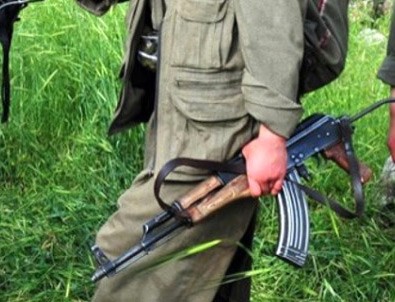 Üst düzey PKK'lı yakalandı