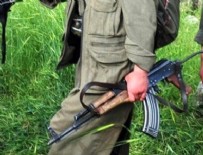 GABAR - Üst düzey PKK'lı yakalandı