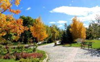 Ata Botanik Park, Hazan Mevsiminde İlgi Odağı