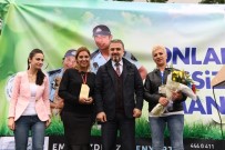 DÜNYA HAYVANLARı KORUMA GÜNÜ - Bagajda Mamalar Esenyurtlu Miniklere Emanet