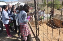 DÜNYA HAYVANLARı KORUMA GÜNÜ - Bitlis'in Büyük Yürekli Çocukları