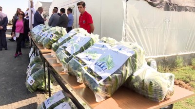 Çocuk Mercanlı'daki Projelerde İlk Ürünler Alındı