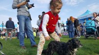 HAYVAN SEVGİSİ - Çocuklar Hayvanlarla Mutlu Pati Şenliği'nde Buluştu