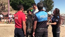TOPLUM DESTEKLI POLISLIK - Engelleri Polis Atlarıyla Aşıyorlar