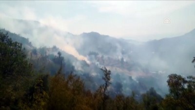 GÜNCELLEME - Mersin'de Orman Yangını